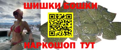 МДПВ Новозыбков