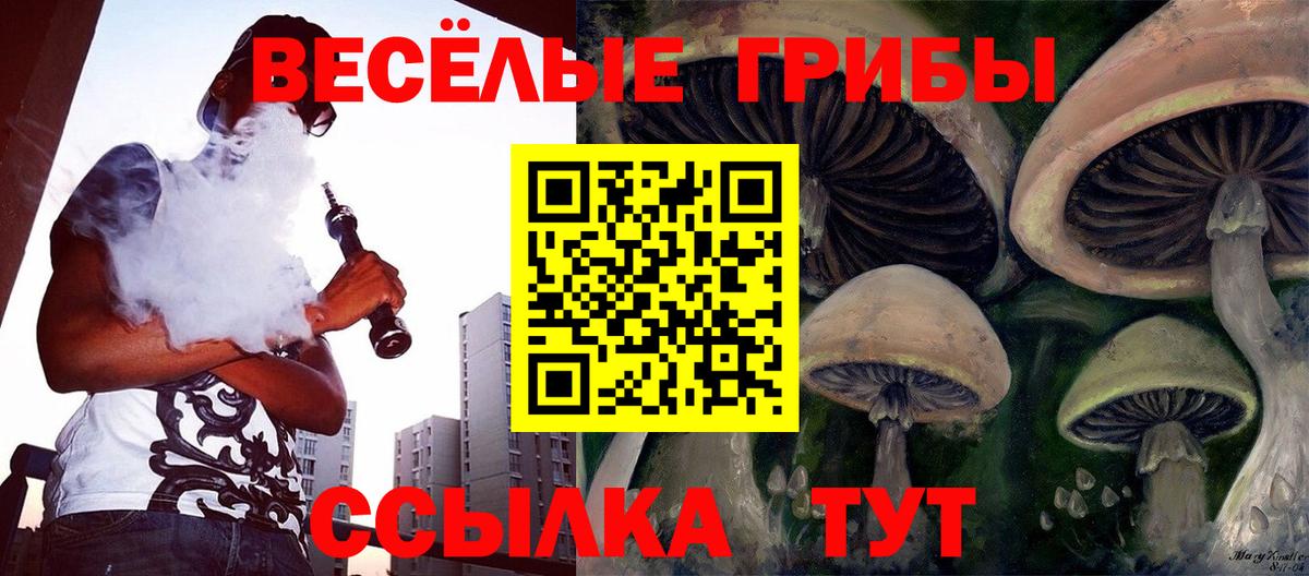Черняховск  Псилоцибиновые грибы Magic Shrooms  Вход с VPN 