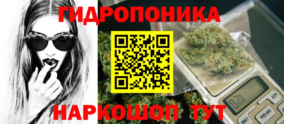 Каннабис MAZAR  Бошки марихуана тримм  Вход с VPN  Черняховск  Шишки марихуана Ganja 
